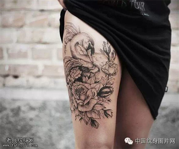 美丽的使者 纯洁的象征之天鹅纹身图案