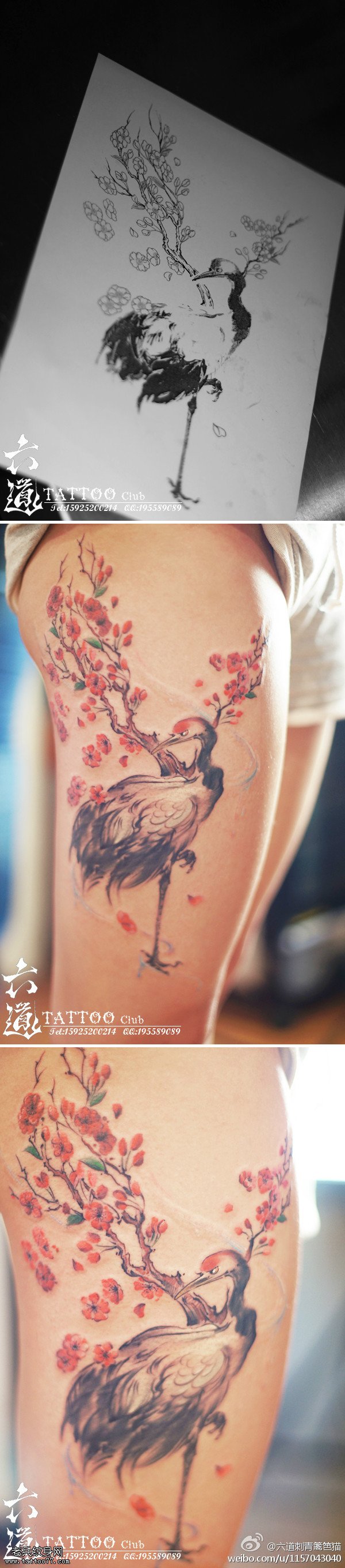 中国工笔画梅花松鹤纹身图案