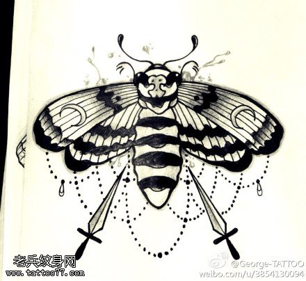 蛾子纹身手稿图片