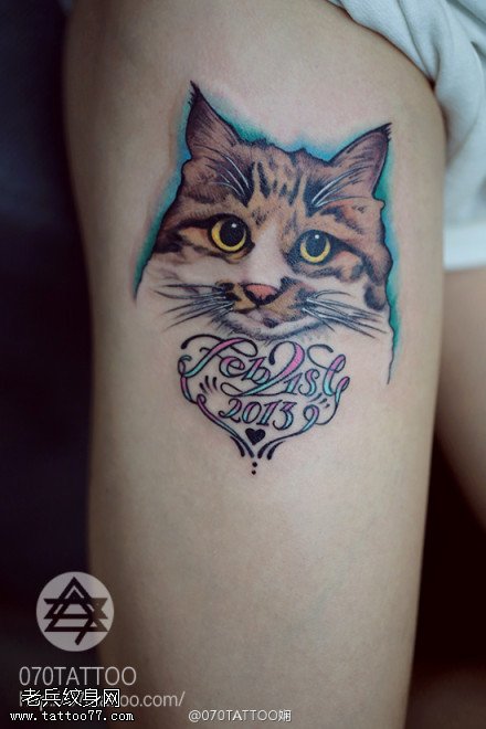女性腿部彩色猫咪字母纹身图片