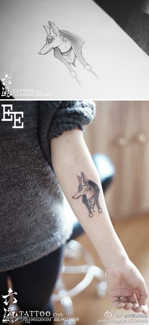 手臂阿努比斯狼头纹身图案