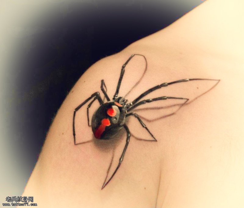 肩膀上一款蜘蛛纹身图案