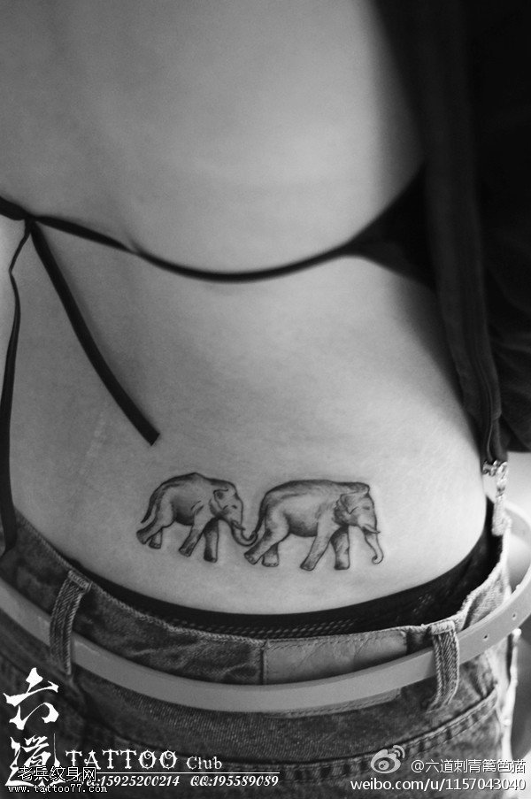 跟随简洁写实小象纹身图案
