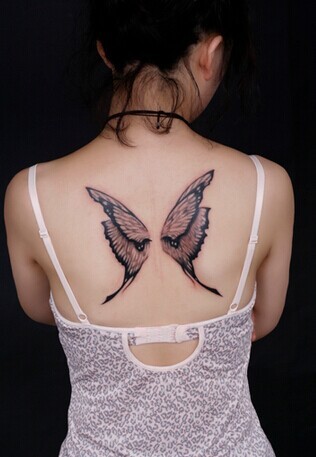 化茧成蝶的美丽蜕变