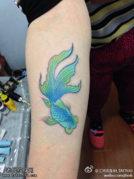 手臂彩色个性金鱼纹身图案