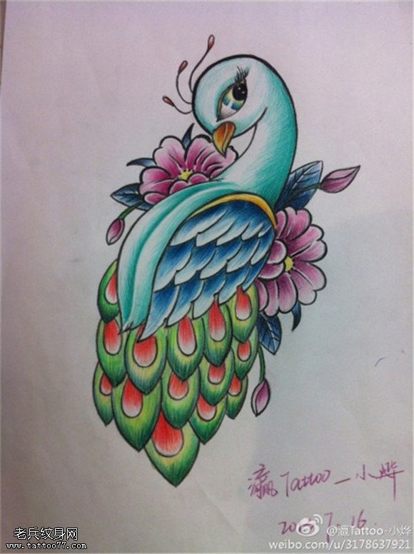 彩色个性孔雀纹身手稿图片