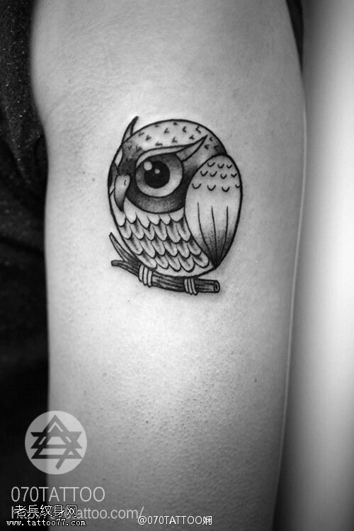 圆形二次元超可爱猫头鹰纹身图案