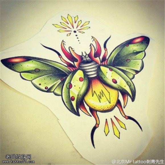 彩色蛾子纹身手稿图片