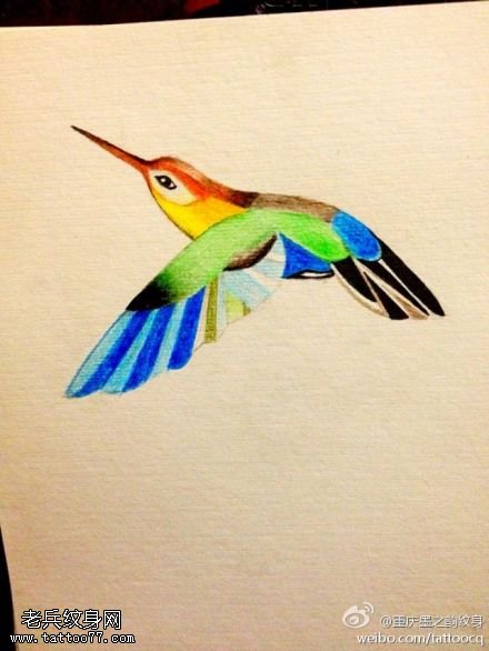 彩色个性蜂鸟纹身手稿图案
