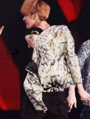 exo队员吴亦凡手臂蝎子图腾刺青