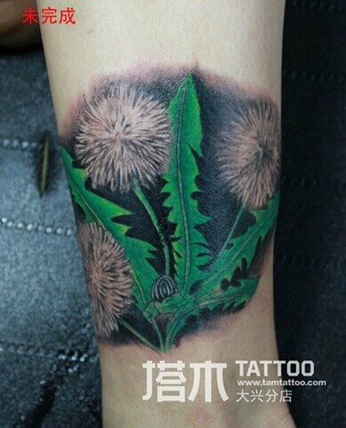 女士脚踝蒲公英纹身