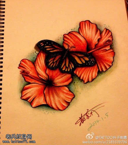 彩色花蝴蝶纹身手稿图片