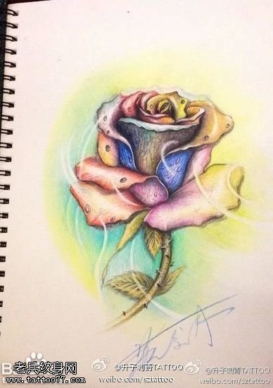 七彩玫瑰纹身手稿图片