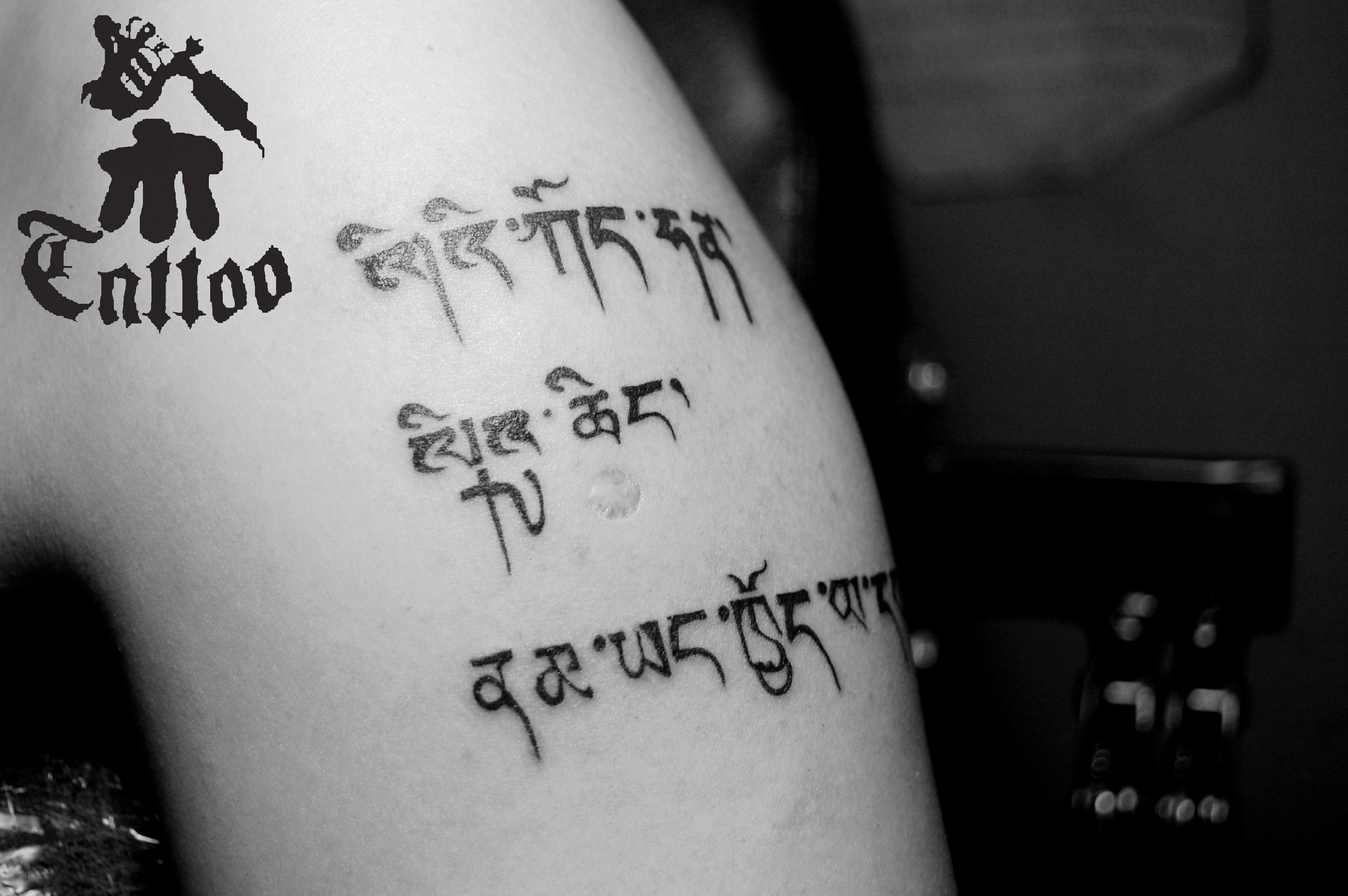 时尚简单的梵文