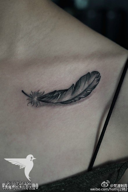 女性肩部羽毛纹身图案