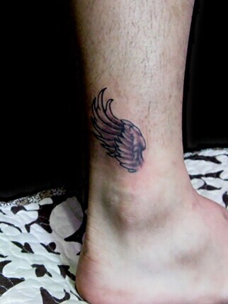 每个人都渴望一双翅膀带我们飞翔