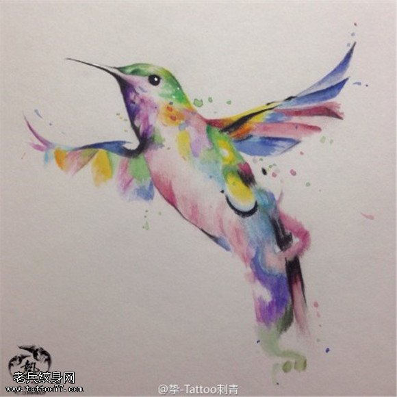 彩色泼墨蜂鸟纹身手稿图案