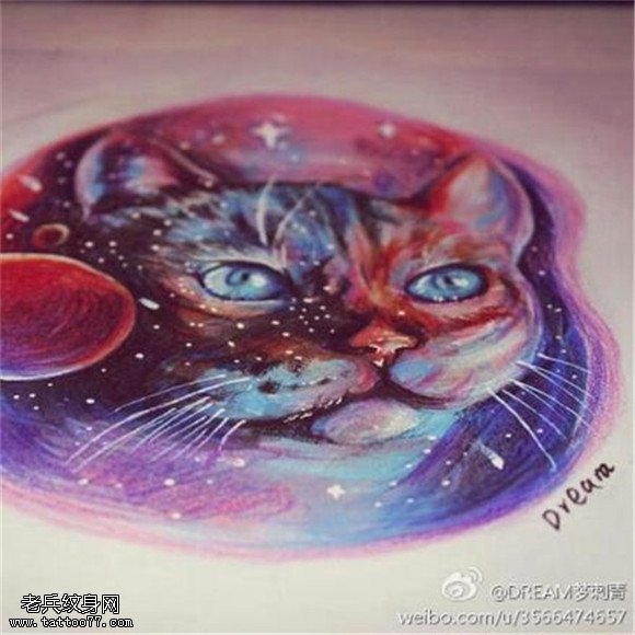 彩色星空猫咪纹身手稿图案
