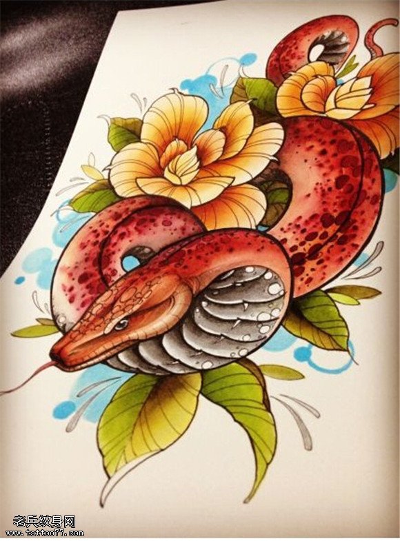 彩色牡丹蛇纹身手稿图片