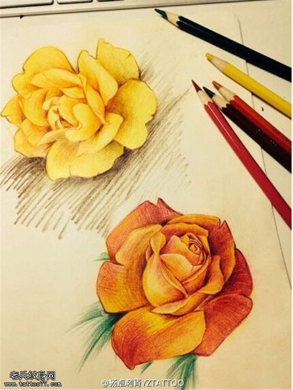 彩色牡丹纹身手稿图片