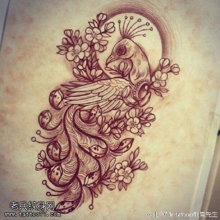 手稿精致的凤凰纹身图案