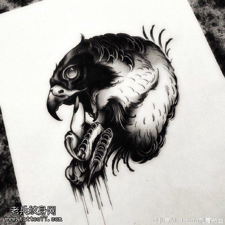 手稿的老鹰纹身图案