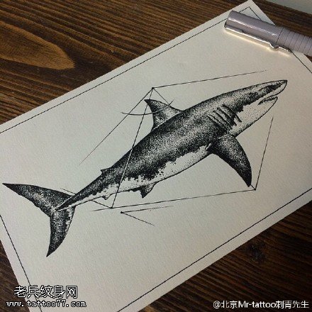 手稿大鲸鱼纹身图案