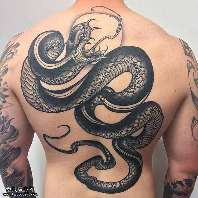 背部的一条蛇纹身图案