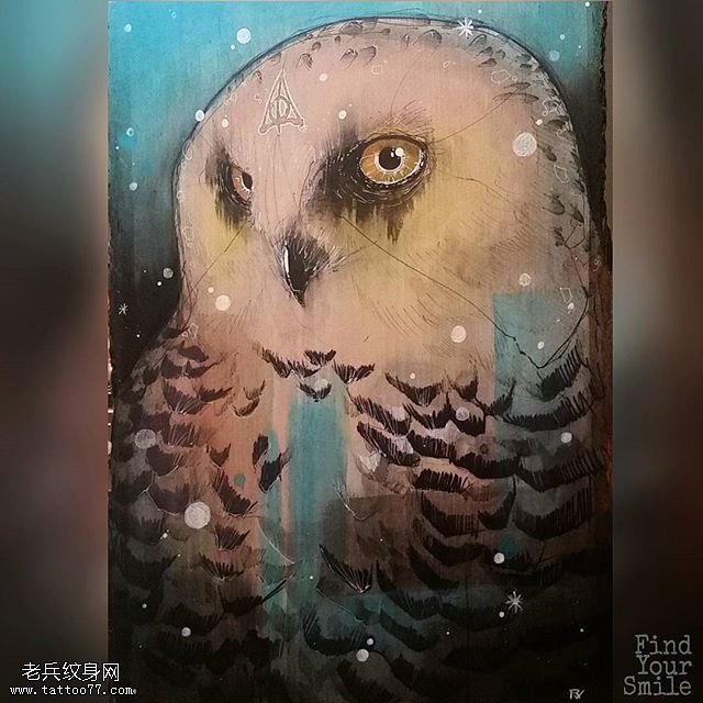 手稿的彩绘卡通猫头鹰纹身图案