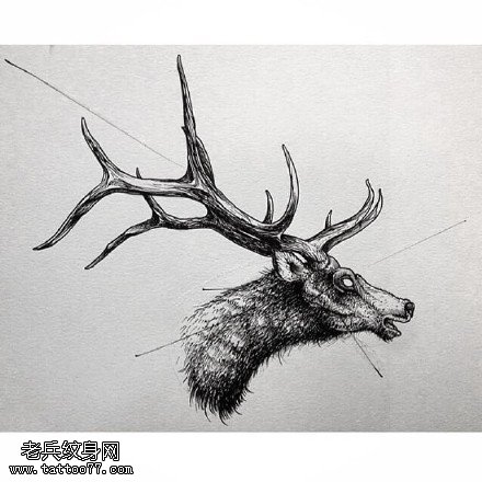 手绘羚羊角纹身图案