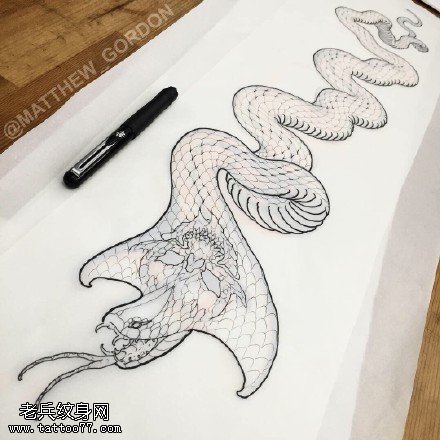 手稿素描蛇纹身图案