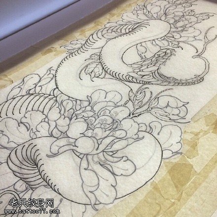 手稿蛇戏菊花纹身图案