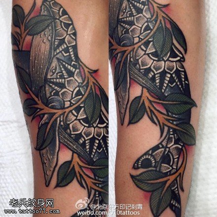 经典梵花海豚纹身图案