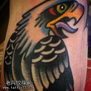 小腿彩绘鹦鹉纹身图案