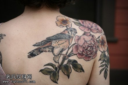 肩部荆棘的玫瑰小鸟纹身图案
