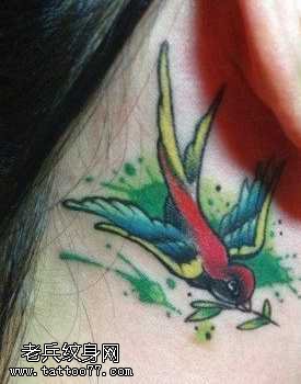 耳部漂亮的彩色小燕子纹身图案