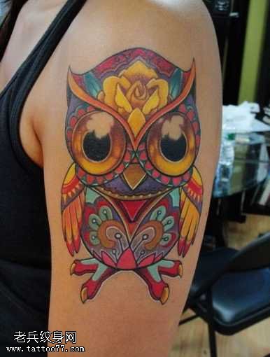 胳膊可爱的大雁猫头鹰纹身