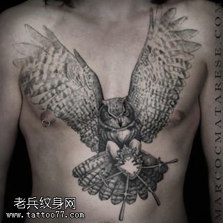 胸口出的雄鹰纹身图案