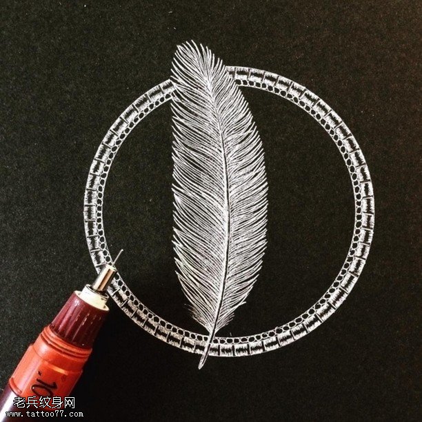 手稿一片羽毛纹身图案