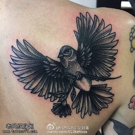肩膀飞来的鸟儿纹身图案