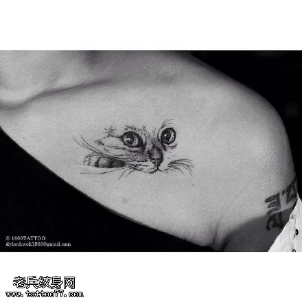 肩膀点刺的猫眼睛纹身图案