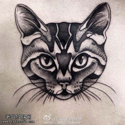 背部的猫头纹身图案