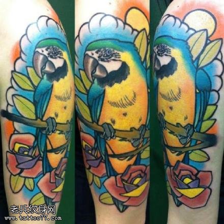 肩部的鹦鹉玫瑰纹身图案
