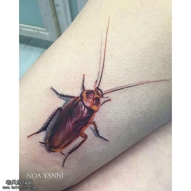 腿部写实的蜗牛纹身图案