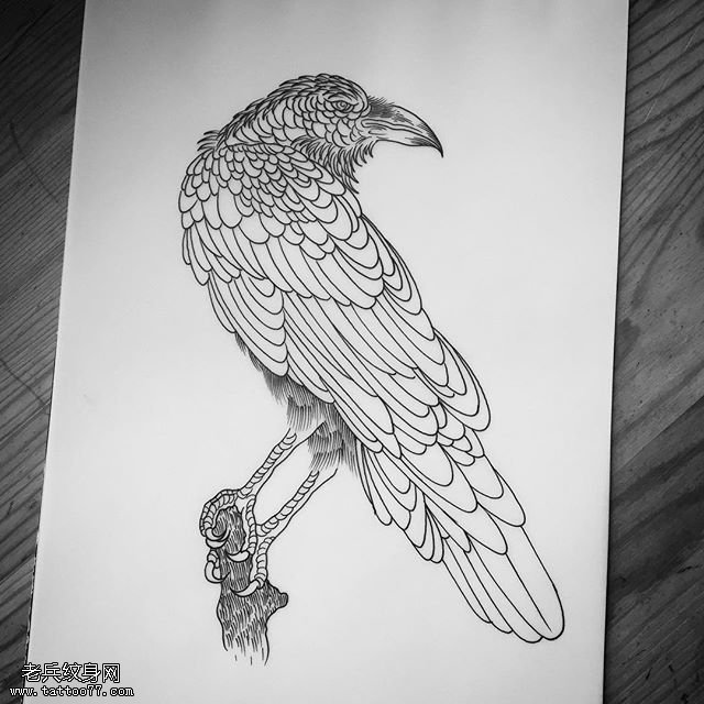 手稿线条乌鸦纹身图案