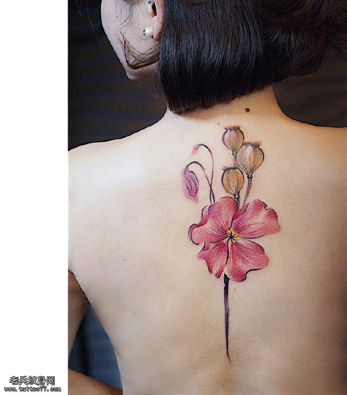 背部一枝罂粟花纹身图案