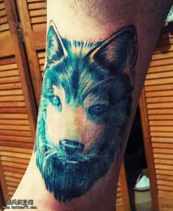 脚踝大气时尚的狼头纹身图案