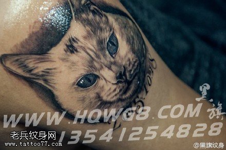 腿部的猫咪纹身图案