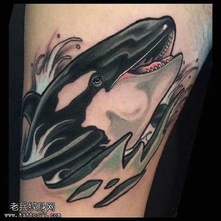 胳膊上的鲨鱼纹身图案