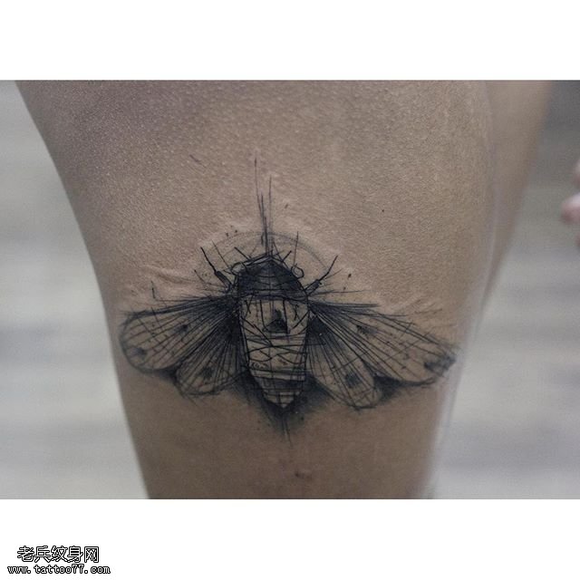 腿部线条蜜蜂纹身图案